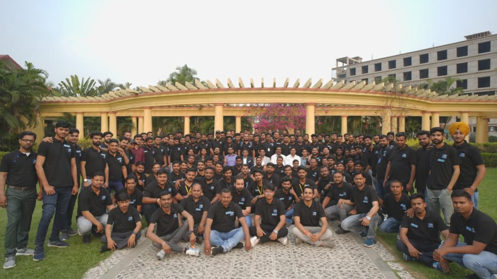 Our Professional Team